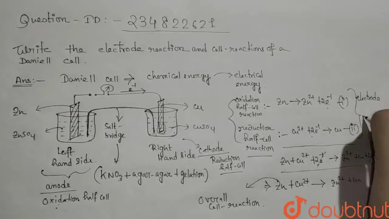 [Bengali] Write the electrode reactions and cell reactions of a Daniel