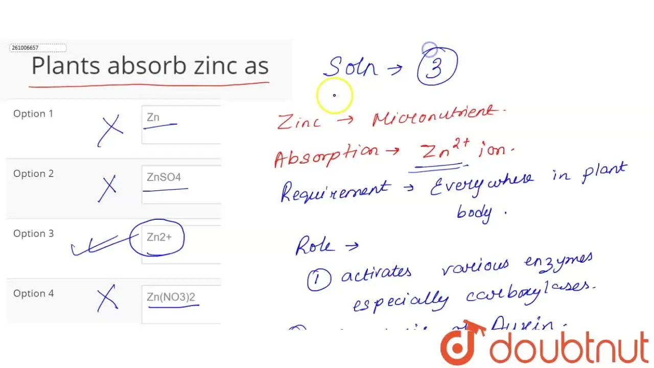 Plants absorb zinc as