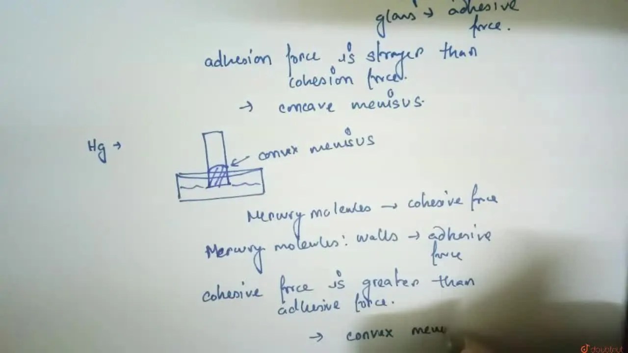 [Bengali] Why the surface of water in a glass capillary tube is concav