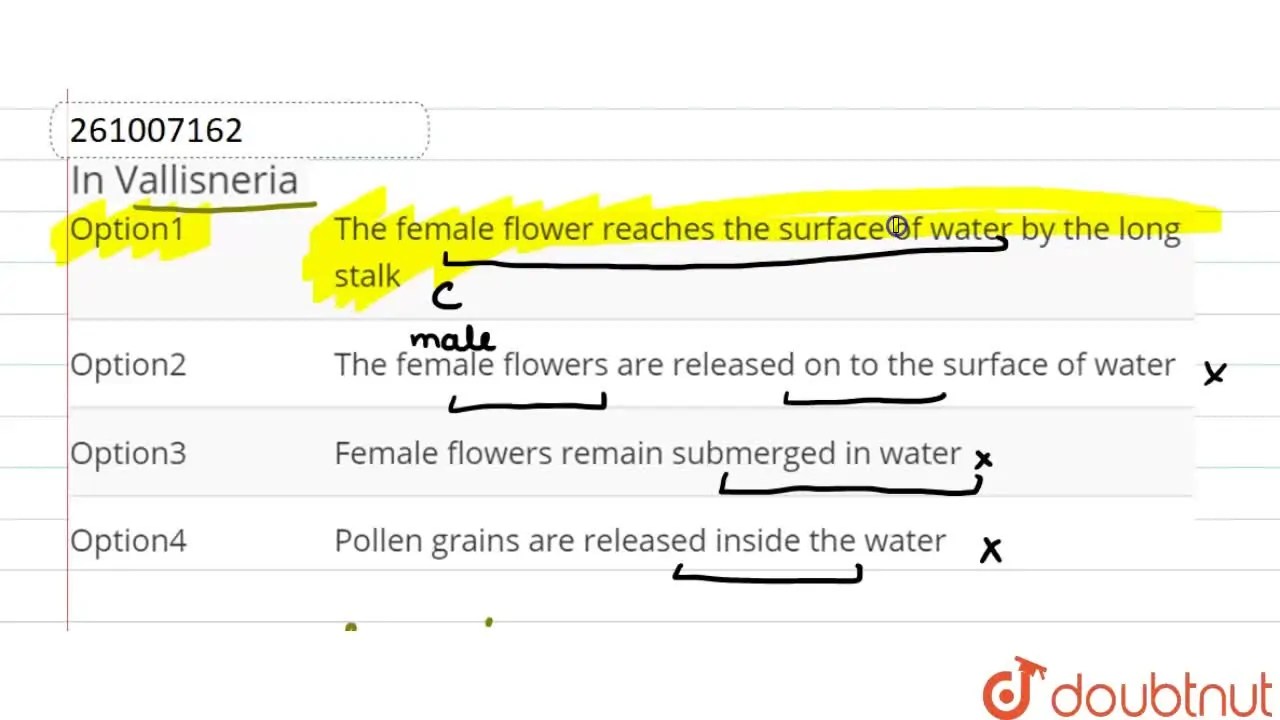 Female flowers remain submerged in water