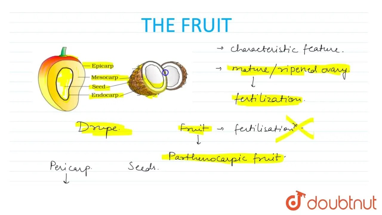 Parthenocarpic Fruit
