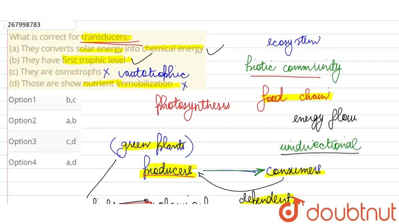 What is correct for transducers (a) They converts solar energy int