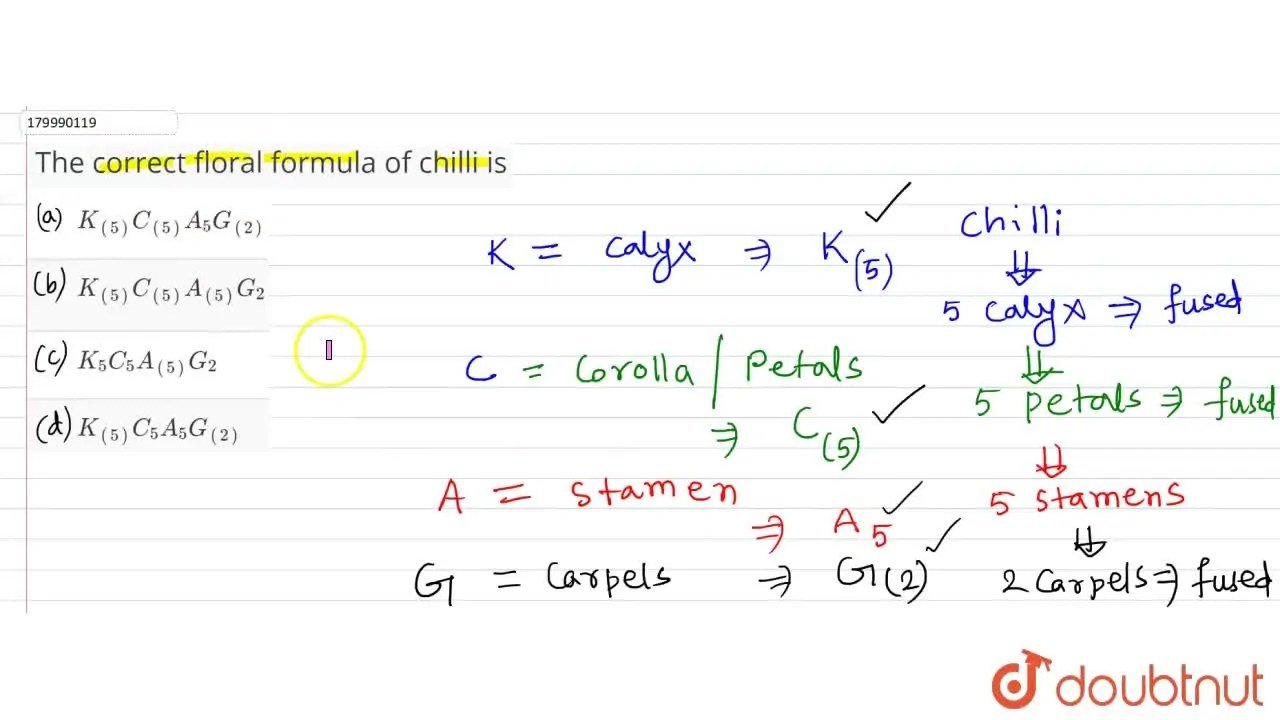 The correct floral formula of chilli is