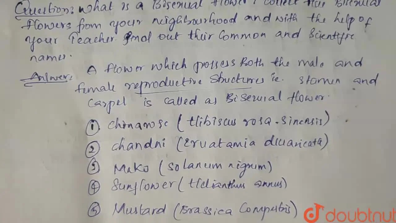 [Telugu Solution] What is a bisexual flower? Collect five bisexual flo