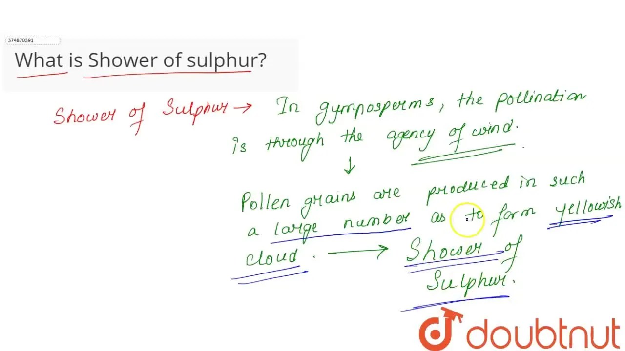 [Bengali Solution] What is Shower of sulphur?