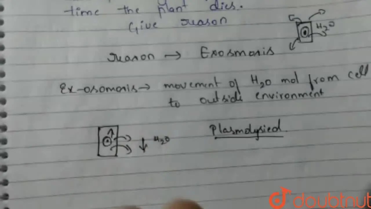 [Kannada Solution] A flowering plant is planted in an earthern pot, an