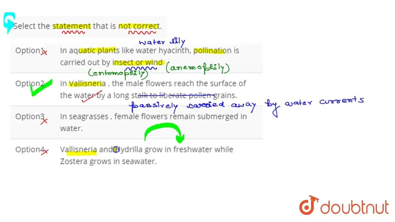 In seagrasses , female flowers remain submerged in water.