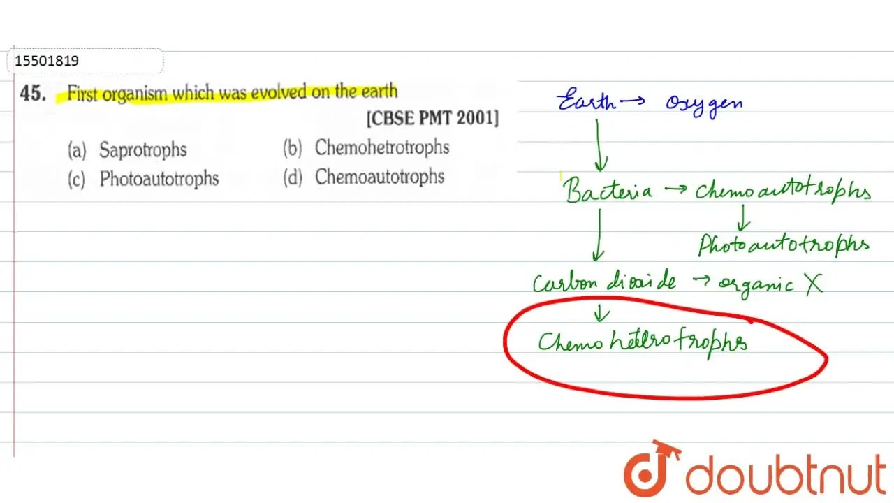 First organism which was evolved on the earth