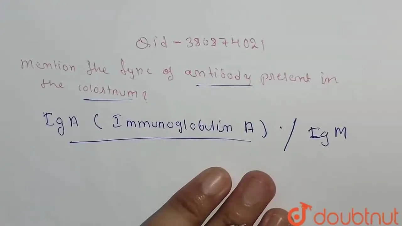 [Kannada Solution] Mention the type of antibody present in the colostr