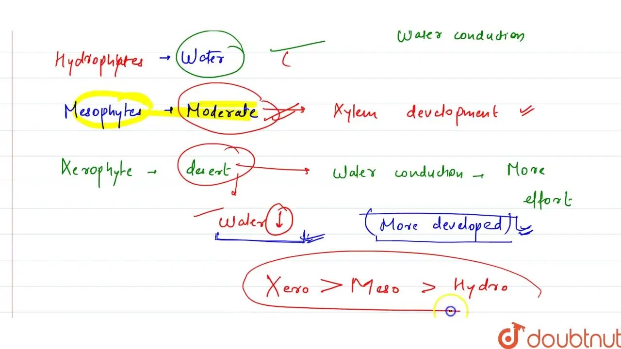 Vascular tissue is well developed in