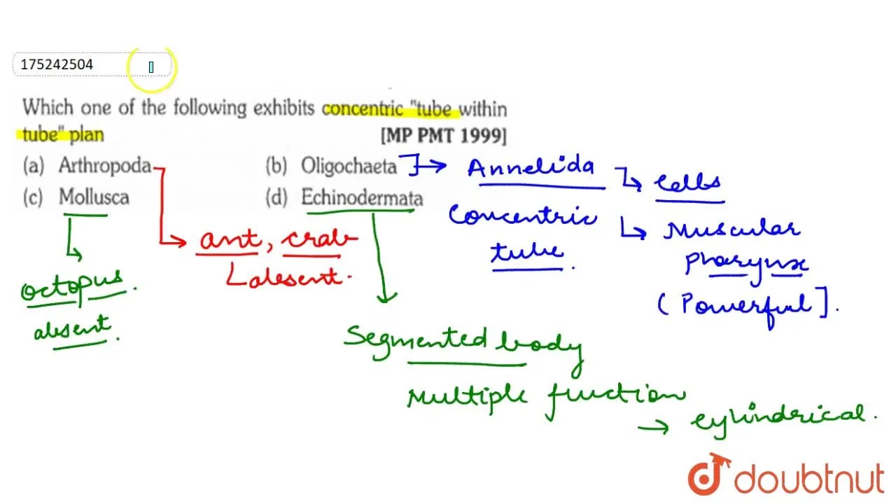 Which one of the following exhibits concetric "tube within tube" plan