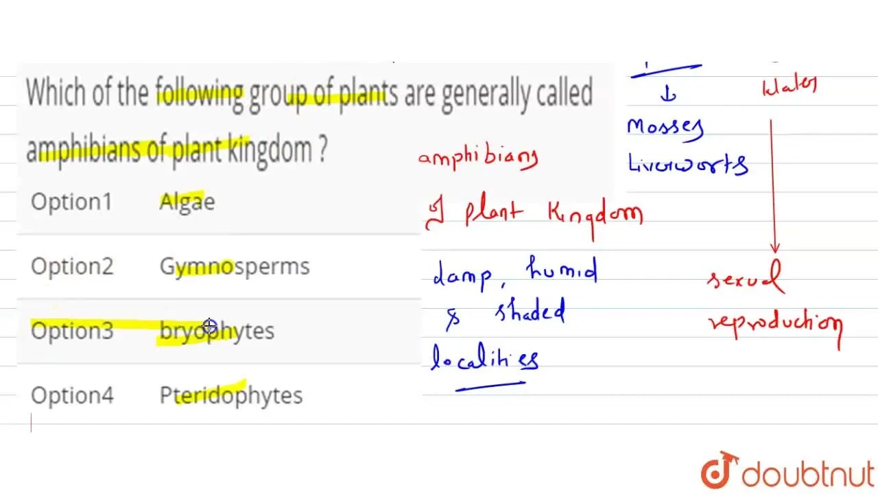 Which of the following group of plants are generally called amphibians