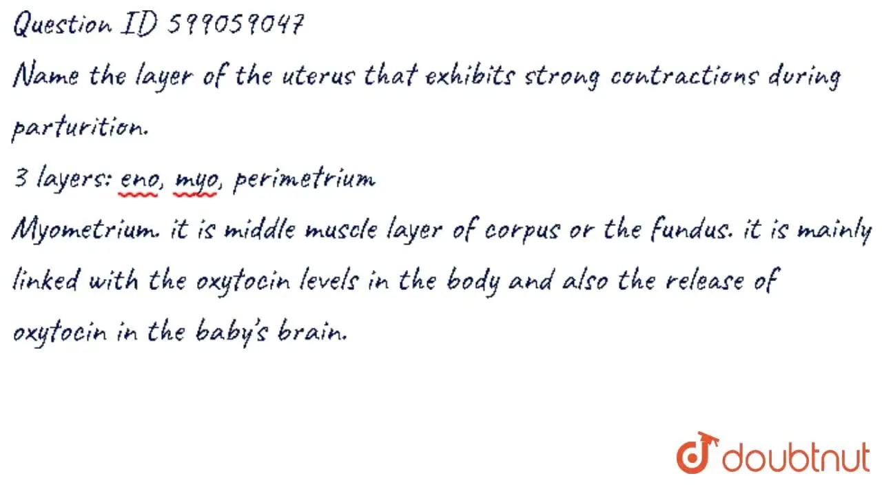 [Kannada Solution] Name the layer of the uterus that exhibits strong c