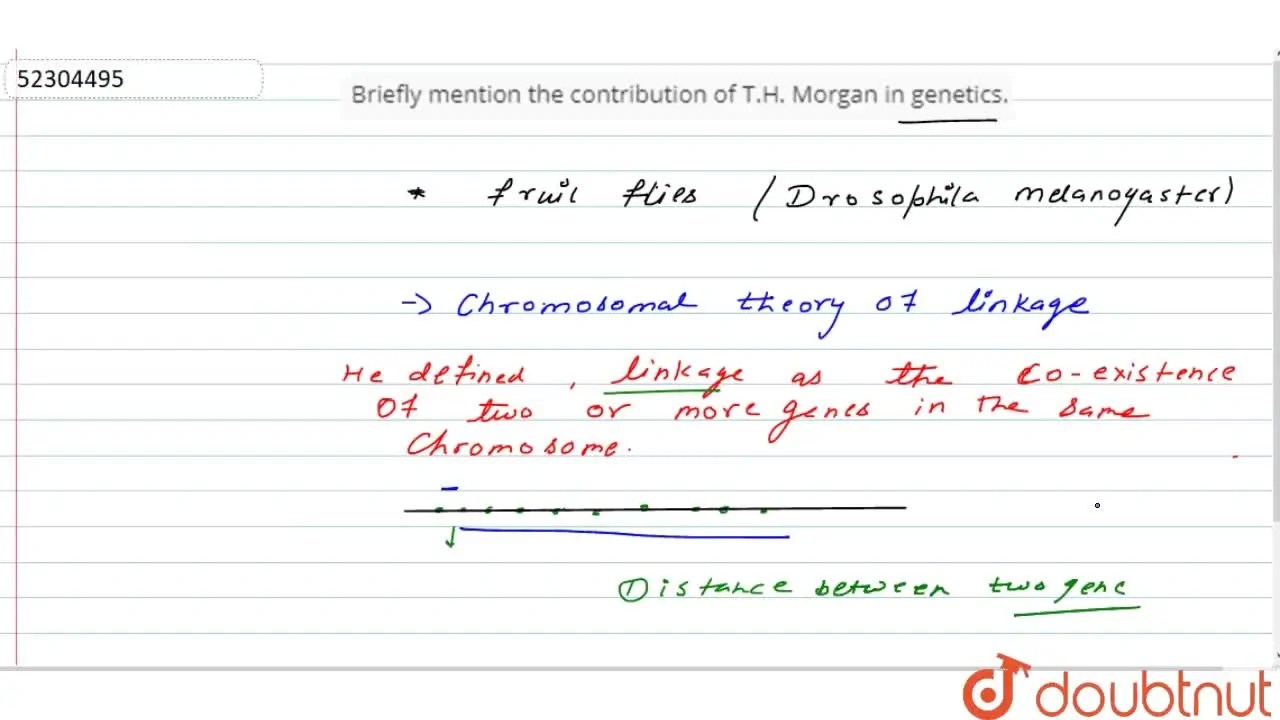 Briefly mention the contribution of T.H. in