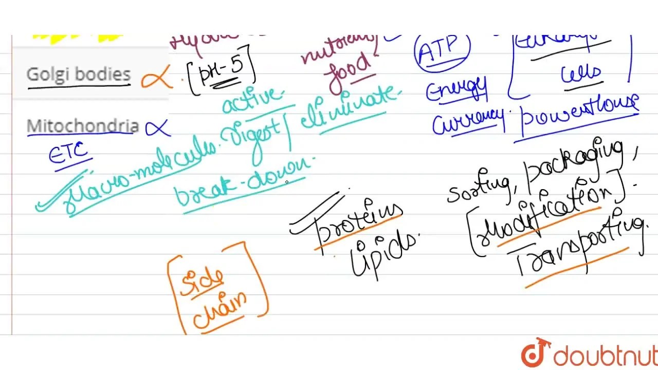 Digestive enzyme hydrolases are present in