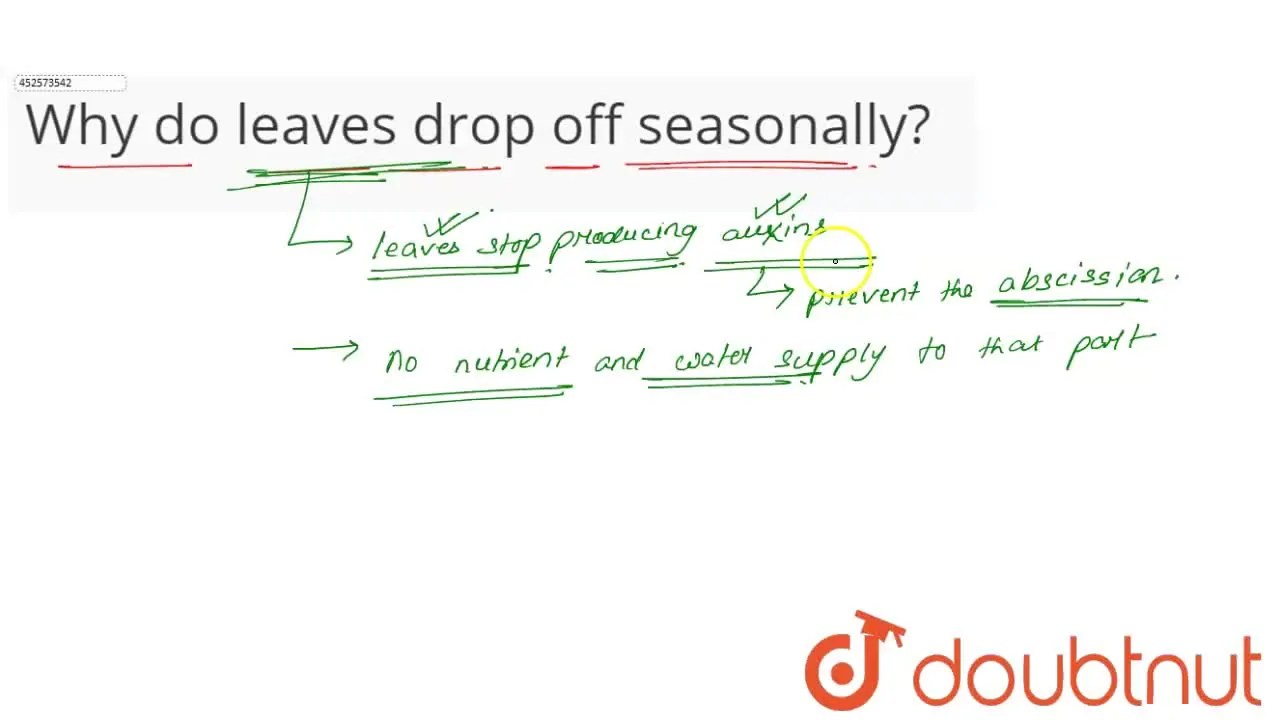 Why do leaves drop off seasonally?