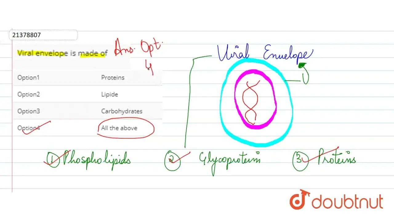 Viral envelope is made of