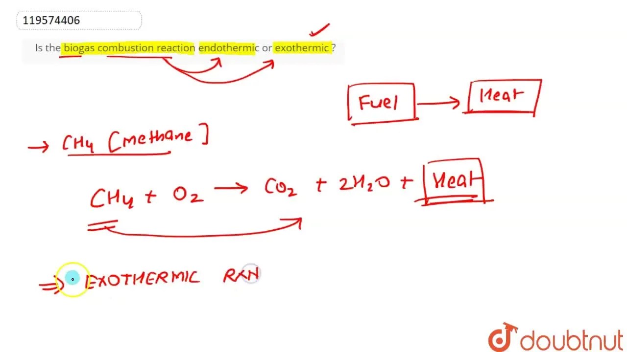 Is the biogas combustion reaction endothermic or exothermic