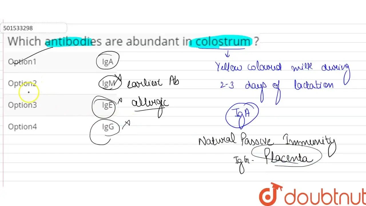 Which antibodies are abundant in colostrum