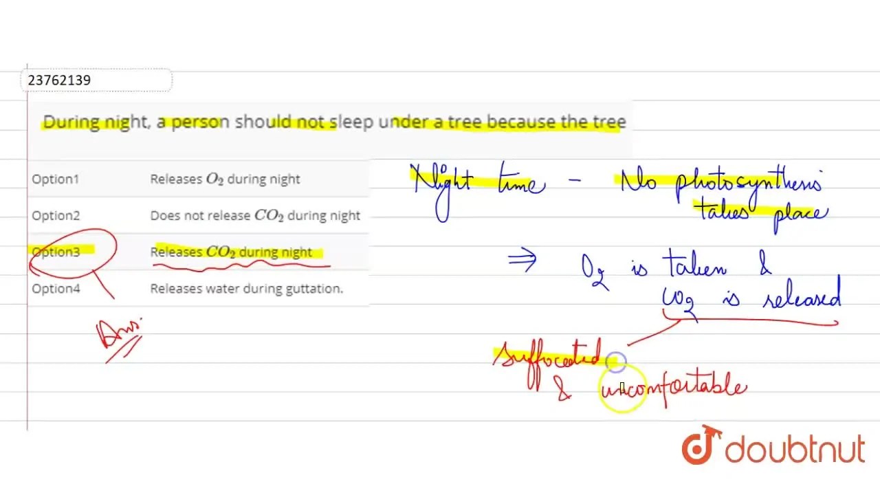 During night, a person should not sleep under a tree because the tree