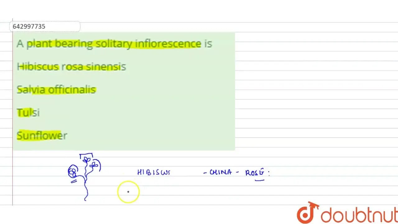 A plant bearing solitary inflorescence is