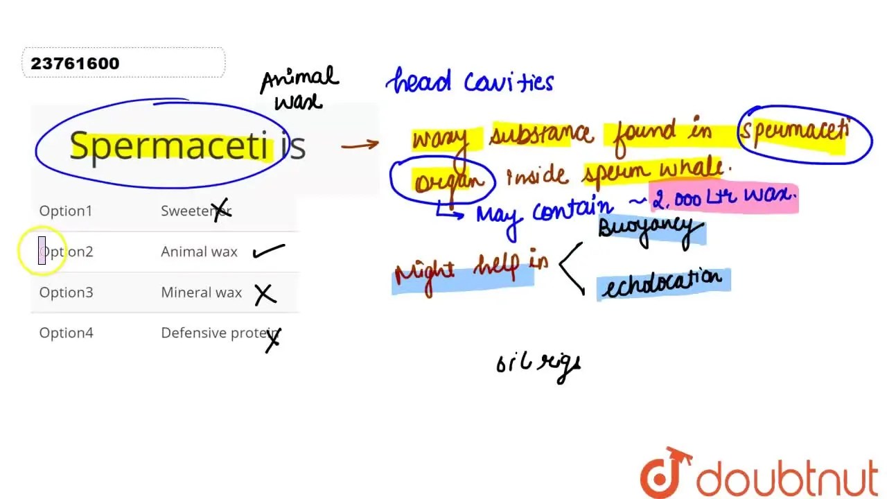[Solved] Spermaceti is