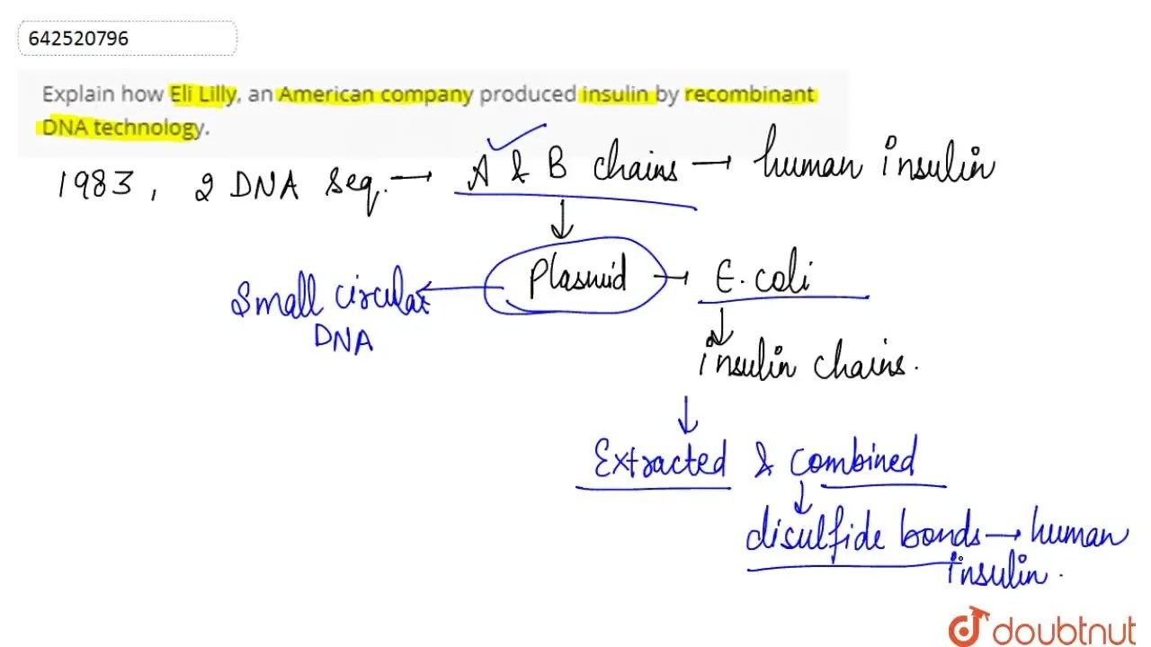 Explain how Eli Lilly, an American company produced insulin by