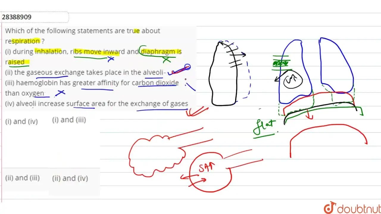 Which of the following statements are true about respiration ? (i) d