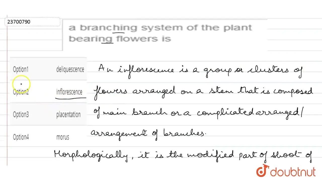 a branching system of the plant bearing flowers is