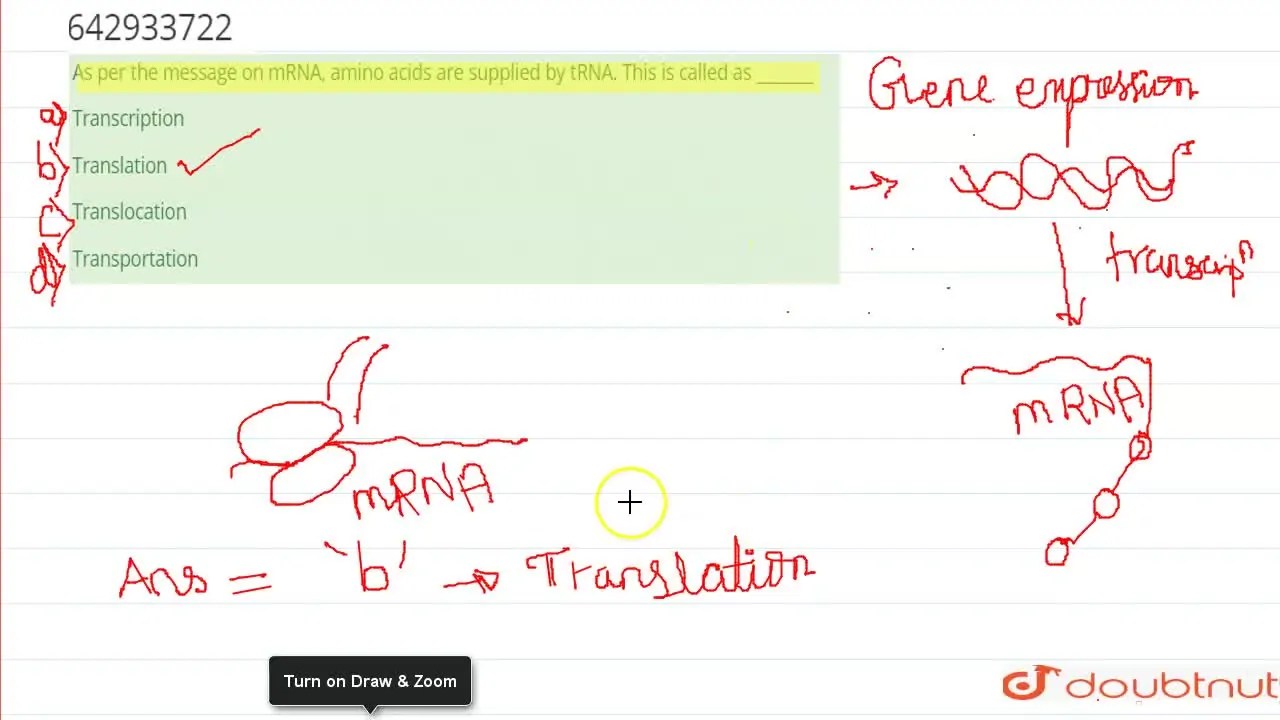 [Marathi Solution] As per the message on mRNA, amino acids are supplie
