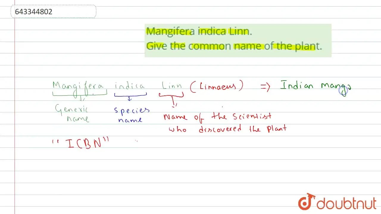 Mangifera indica Linn. Give the common name of the plant.