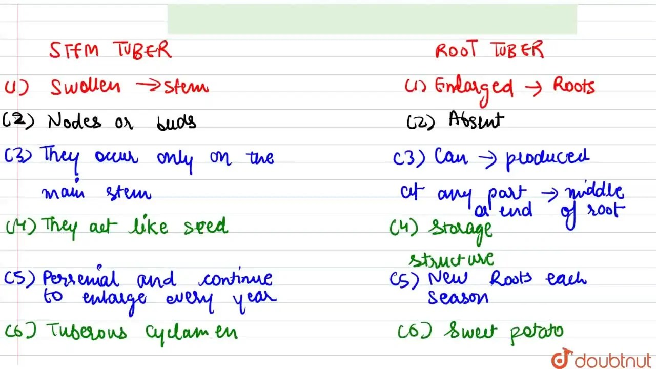 Differentiate between Stem tuber and root tuber