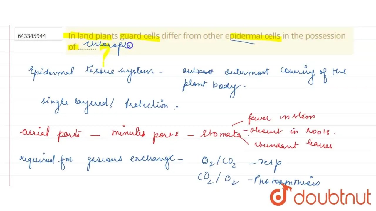 In land plants guard cells differ from other epidermal cells in the p