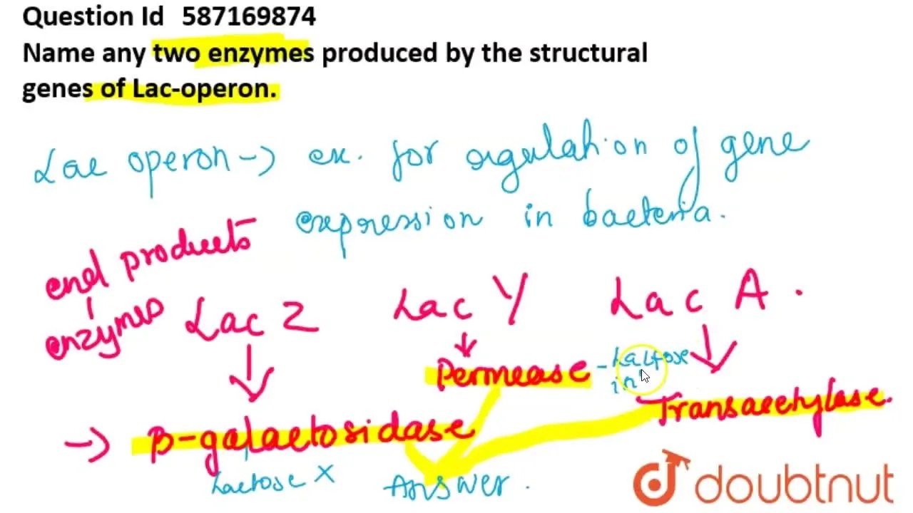 [Kannada Solution] Name any two enzymes produced by the structural gen