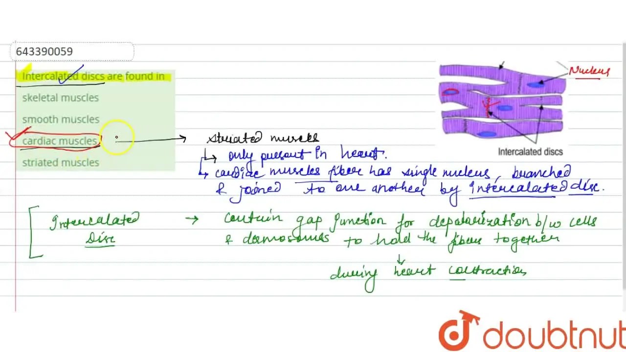 Intercalated discs are found in
