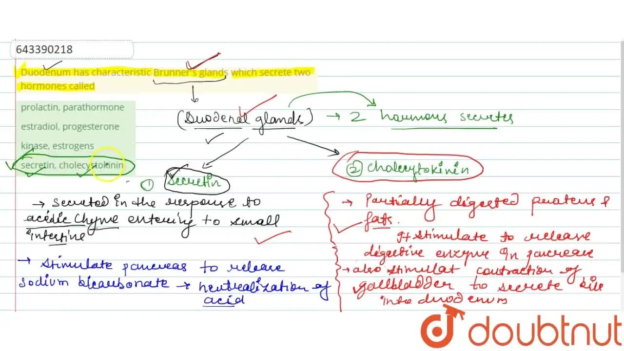 Duodenum has characteristic Brunner's glands which secrete two hormone