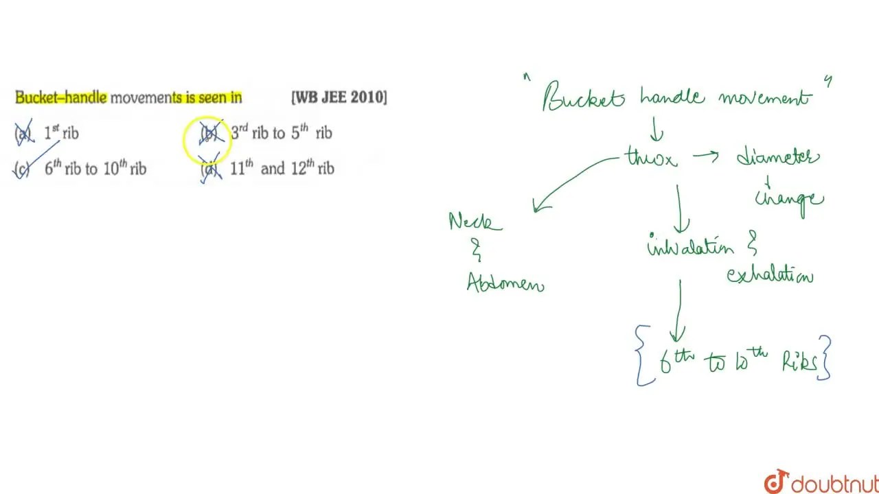 Buckethandle movement is seen in