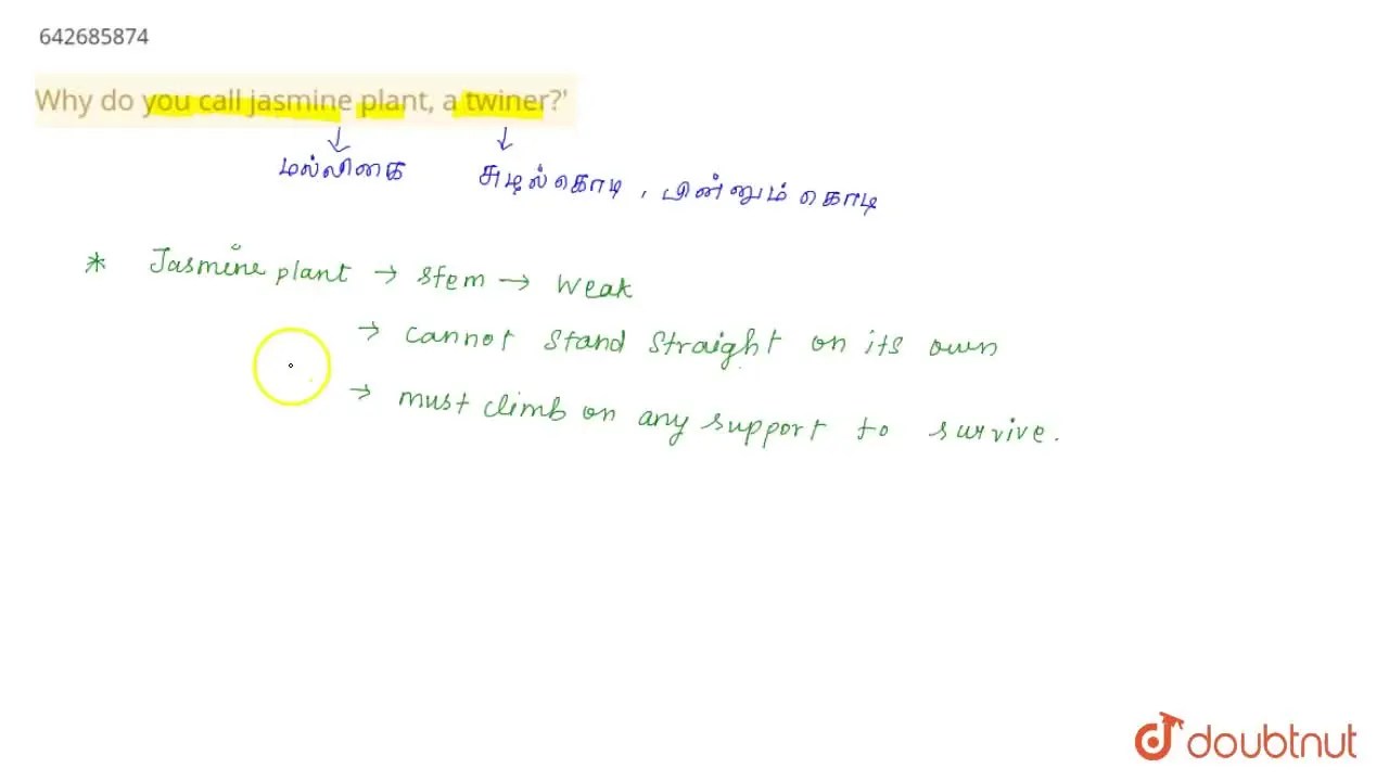 [Tamil Solution] Why do you call jasmine plant, a twiner?'