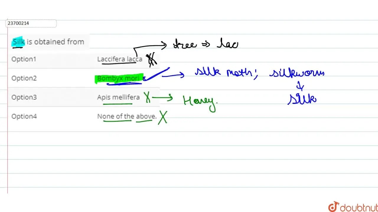 Silk is obtained from