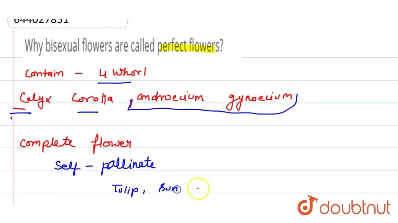 Why bisexual flowers are called perfect flowers?
