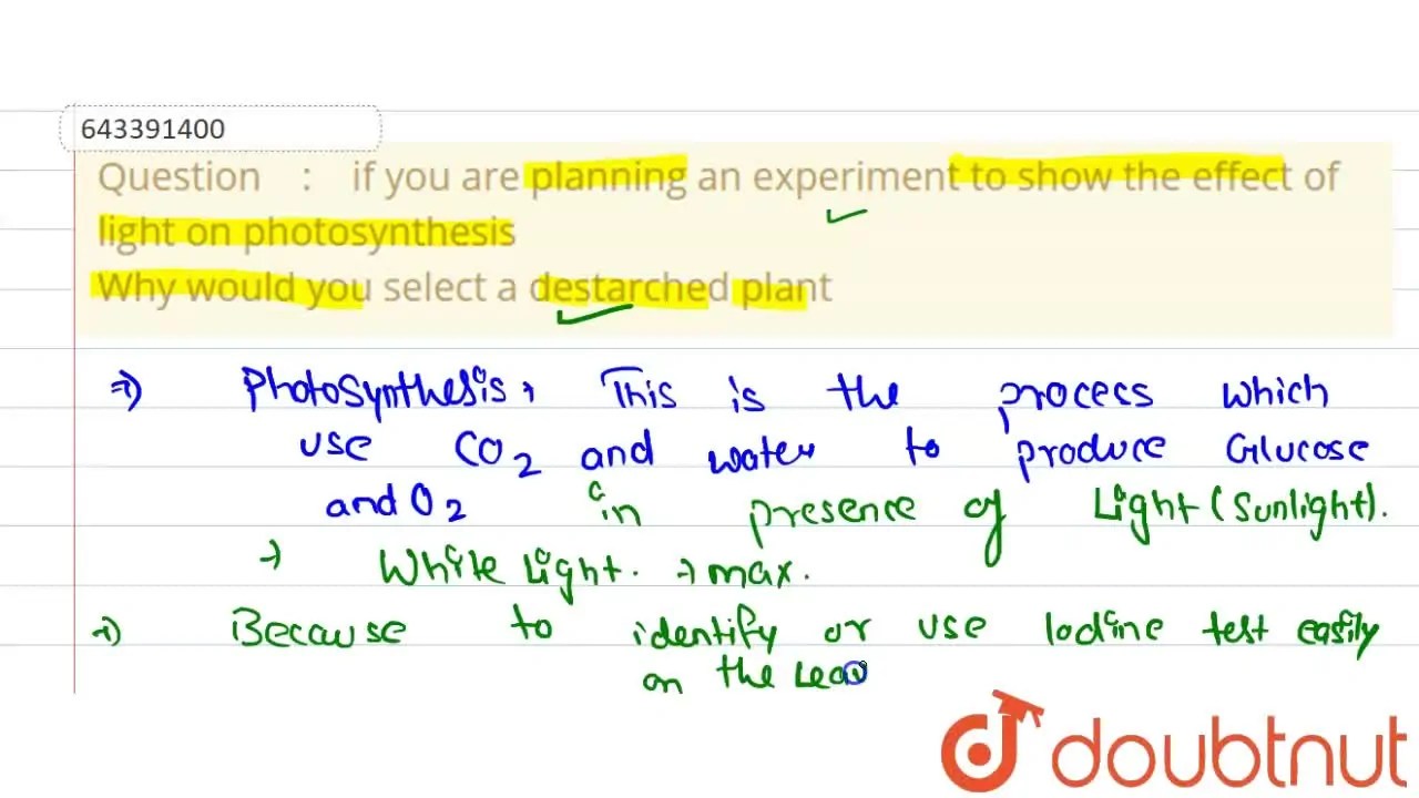 if you are planning an experiment to show the effect of light on photo