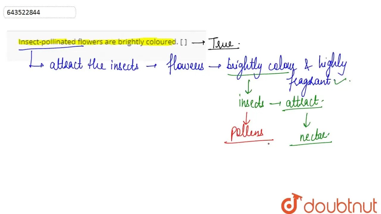 Insectpollinated flowers are brightly coloured. [ ]