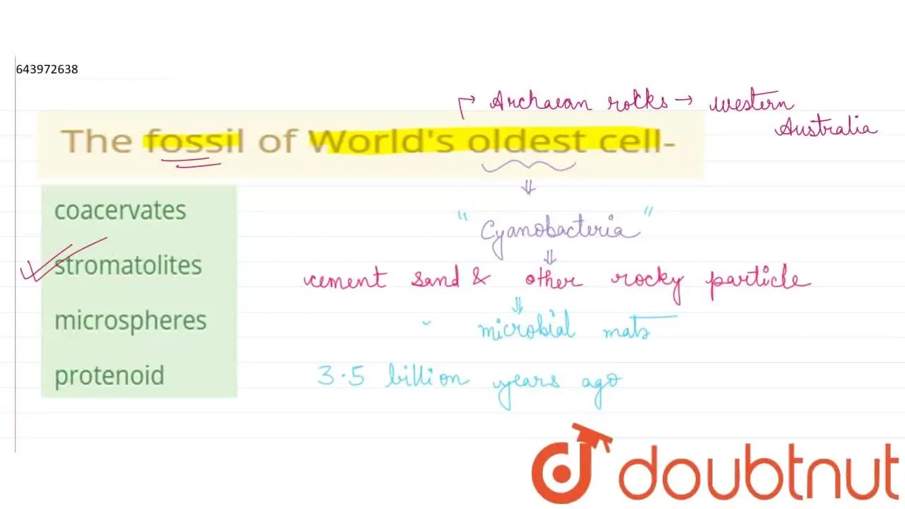 [Bengali Solution] The fossil of World's oldest cell