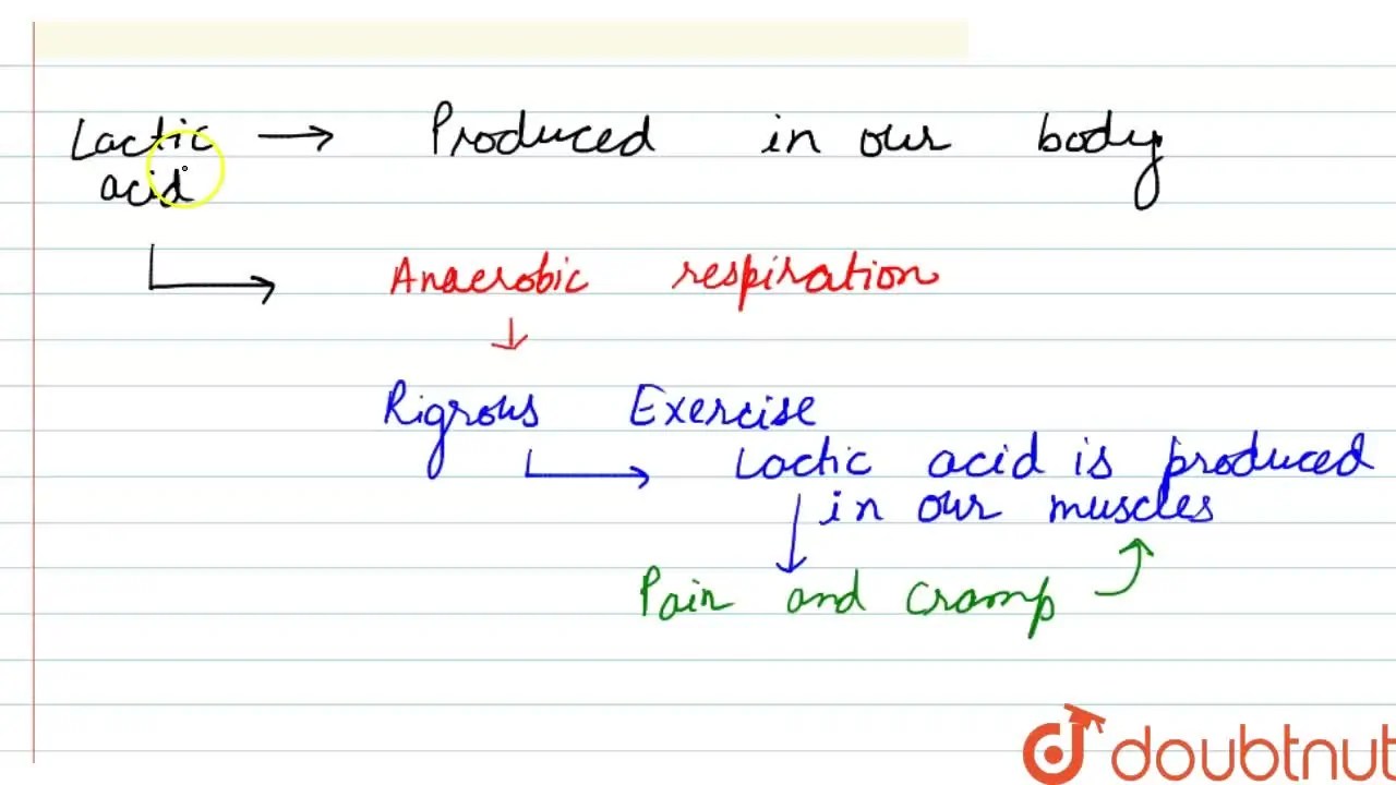 Is lactic acid produces in our body?