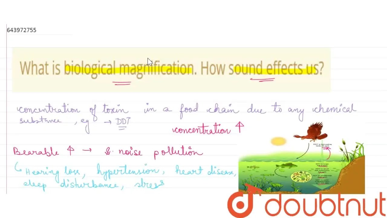 [Bengali Solution] What is biological magnification. How sound effects