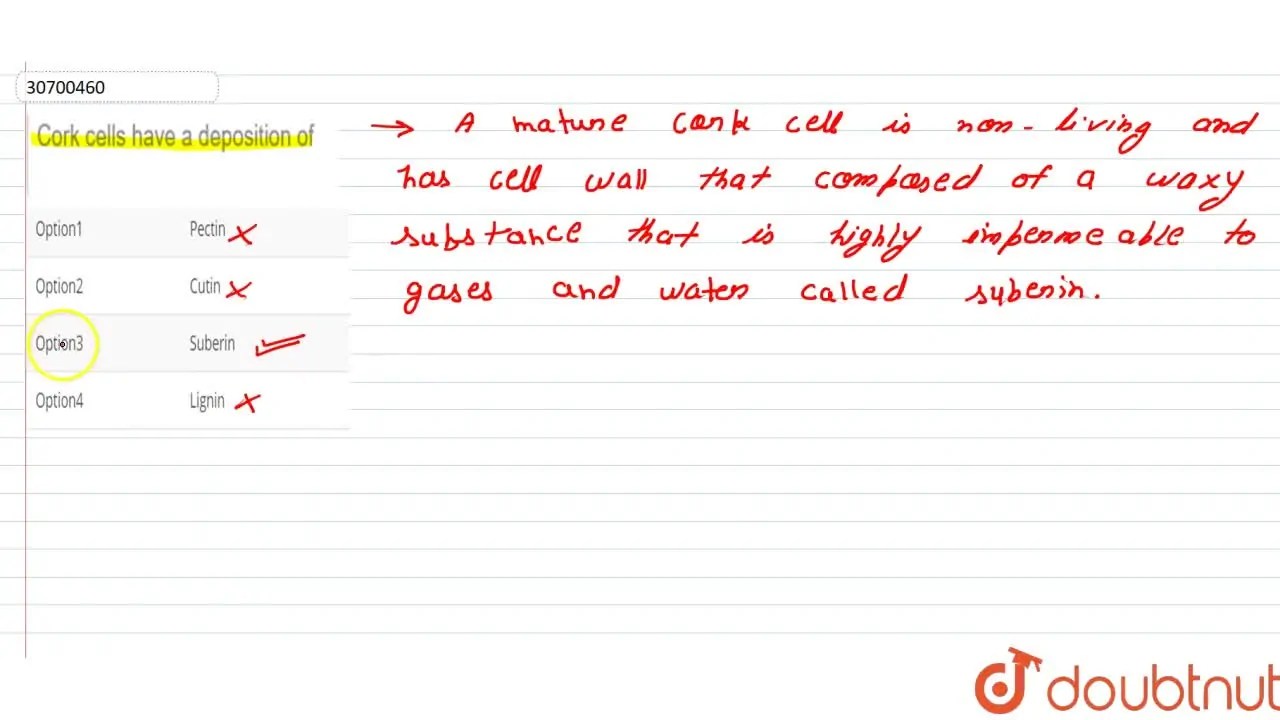 Cork cells have a deposition of