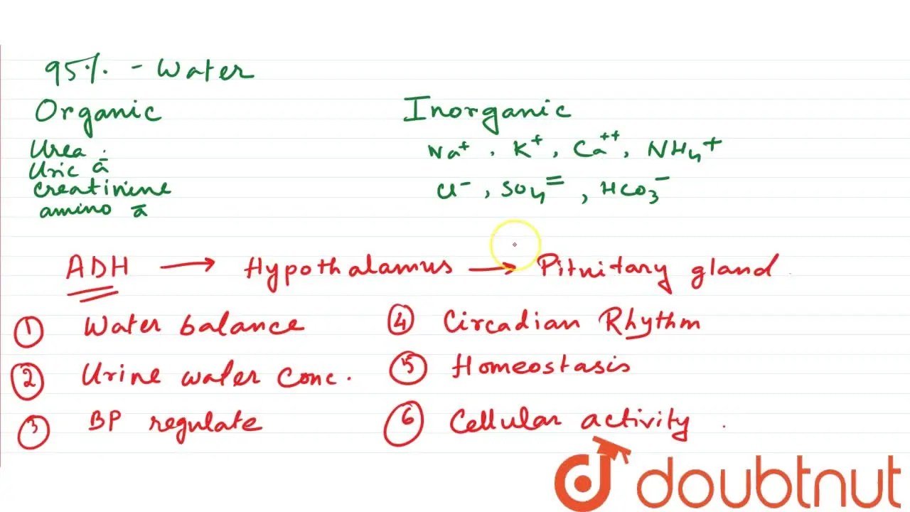 [Bengali Solution] Write the normal composition of urine. What is the
