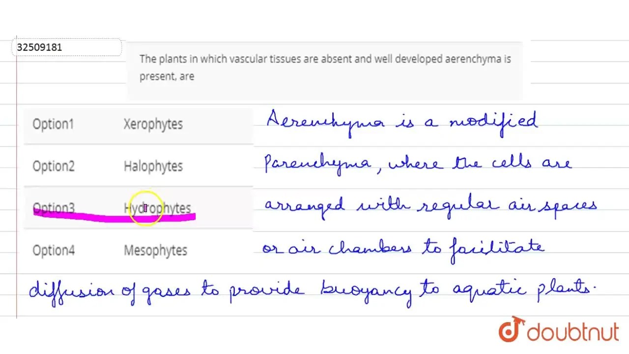The plants in which vascular tissues are absent and well developed aer