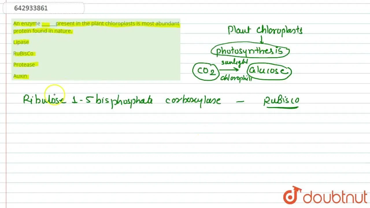 [Marathi Solution] An enzyme present in the plant chloroplasts is most