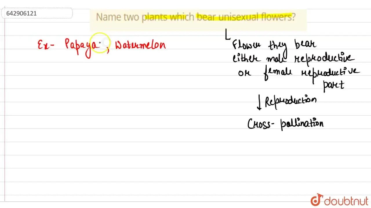 [Punjabi Solution] Name two plants which bear unisexual flowers?
